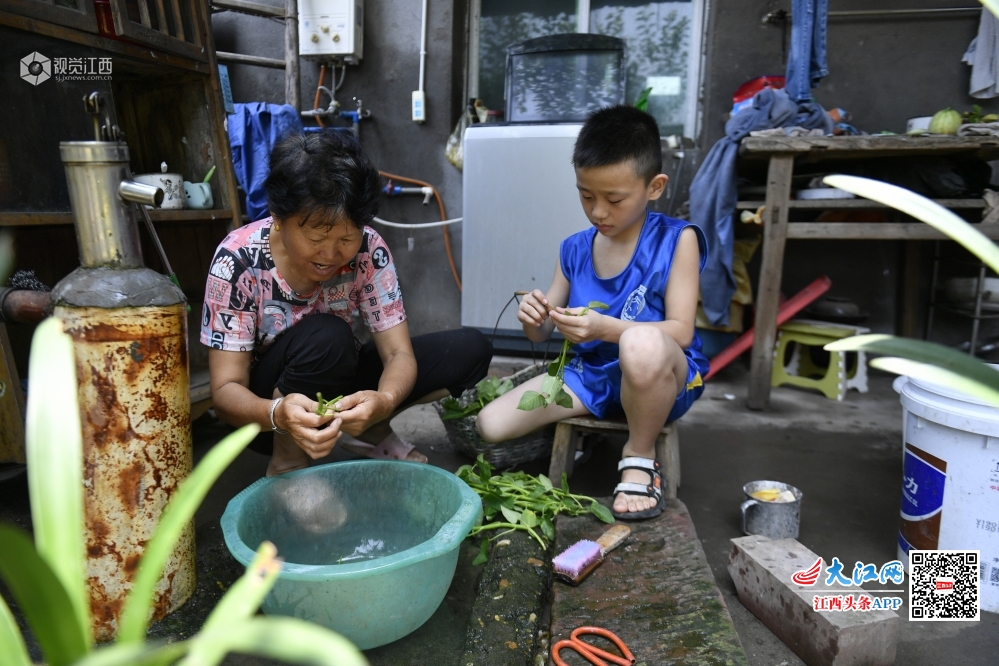 摔跤吧！乡村少年