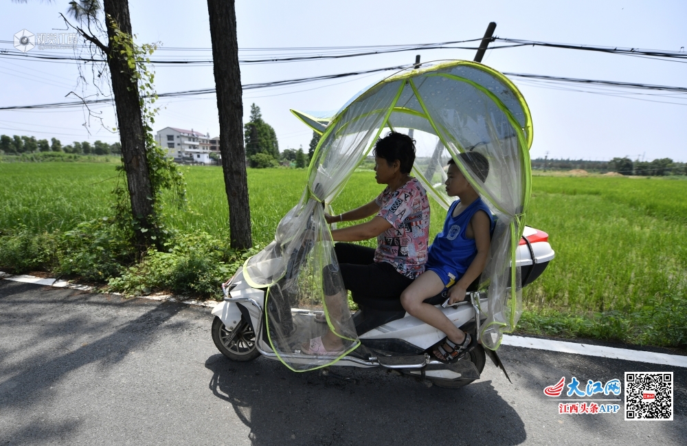 摔跤吧！乡村少年