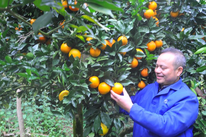 李祝平：“中国好人、助残模范”助力脱贫攻坚