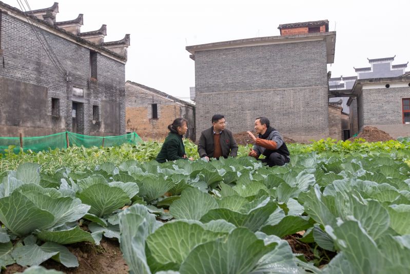 江西吉水：脱贫解困帮扶人 俯首甘为孺子牛