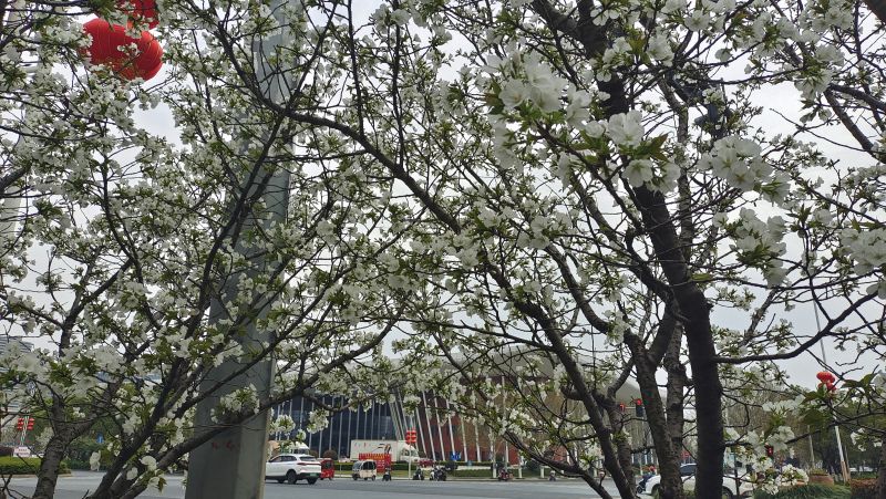 【视频】江西吉安：春暖花开季 ?；ɡ寺婪?>
          <span>【视频】江西吉安：春暖花开季 ?；ɡ寺婪?/span></a>
        </li>
               <li>
          <a href=