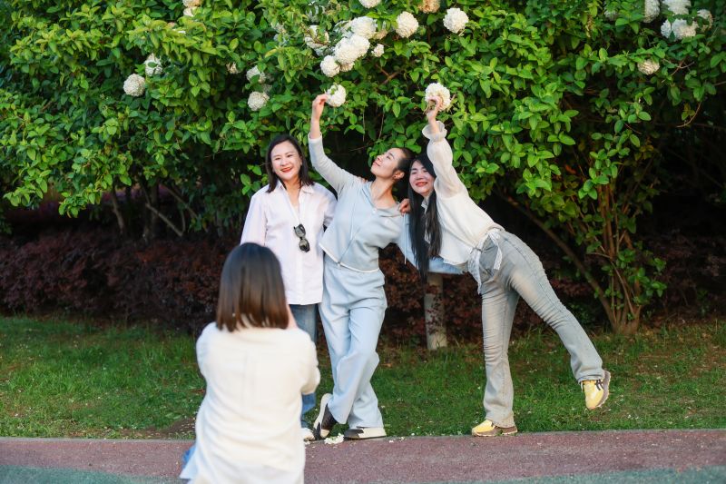 江西吉安：生态园绣球花开 团团簇簇展春色