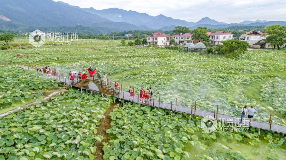 7月9日，游客在江西省庐山市海会镇彭山村荷花种植基地观赏荷花。