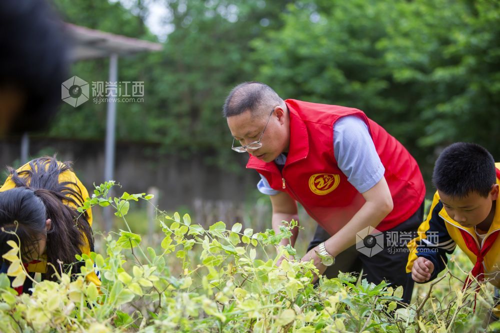2022年4月24日，江西省分宜县洋江中心学?？沽?ldquo;我爱劳动”教育实践活动。