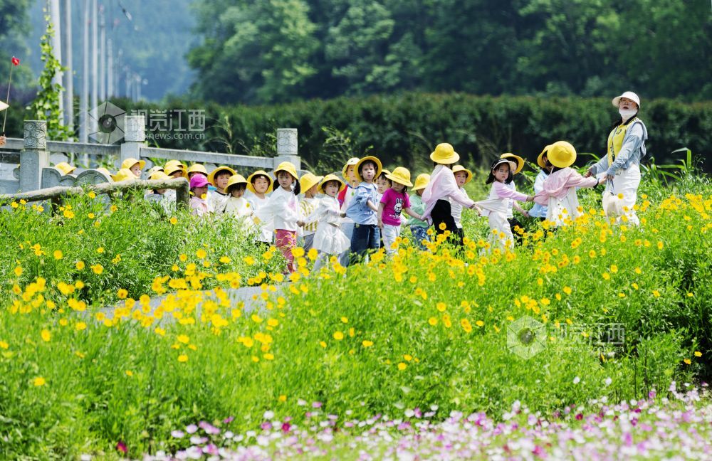 5月8日，在江西省新余市渝水区良山镇下保村，蝴蝶在格?；ㄖ恤骠嫫鹞?。